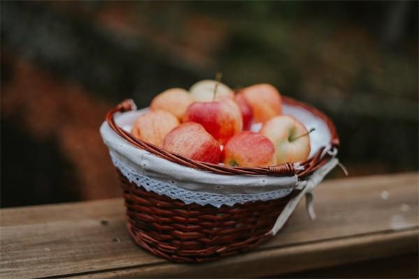 養(yǎng)老保險(xiǎn)有幾個(gè)檔次分別多少錢？需要交多少年？