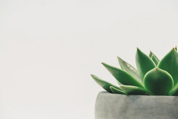平安保險(xiǎn)萬能險(xiǎn)怎么取錢？有哪些特點(diǎn)？