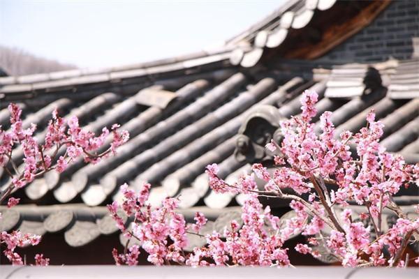 人壽保險(xiǎn)和人保哪個(gè)好？怎么選？