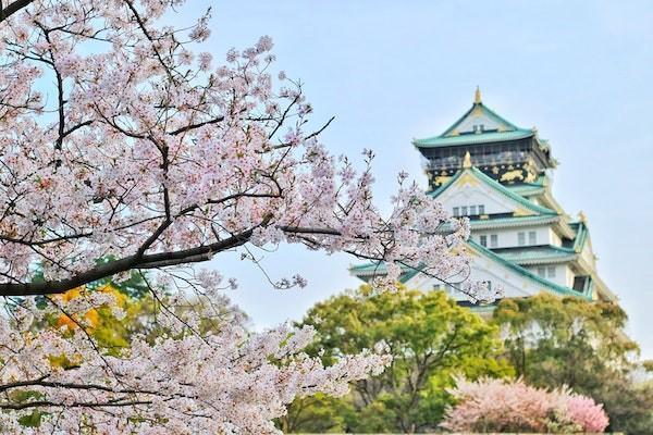 2023年靈活就業(yè)退休年齡是多少？靈活就業(yè)退休前需要交多少年？