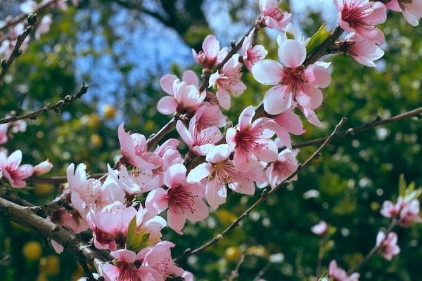社保卡丟失如何補(bǔ)辦？社?？▉G失補(bǔ)辦可以換照片嗎？