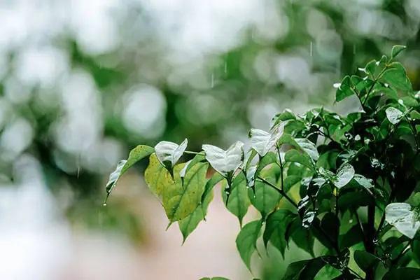保險(xiǎn)退保怎么退全款？找代理退可靠嗎？