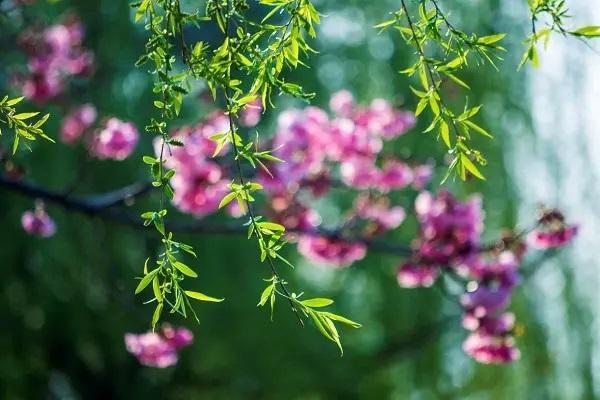 保險(xiǎn)斷交一年可以退保嗎？能退多少？