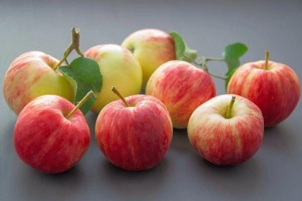 退保是按照現(xiàn)金價(jià)值表退嗎？怎么計(jì)算？