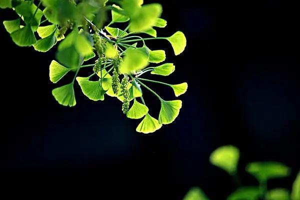 保險(xiǎn)可以中途退保嗎？中途退保需要辦理什么手續(xù)？