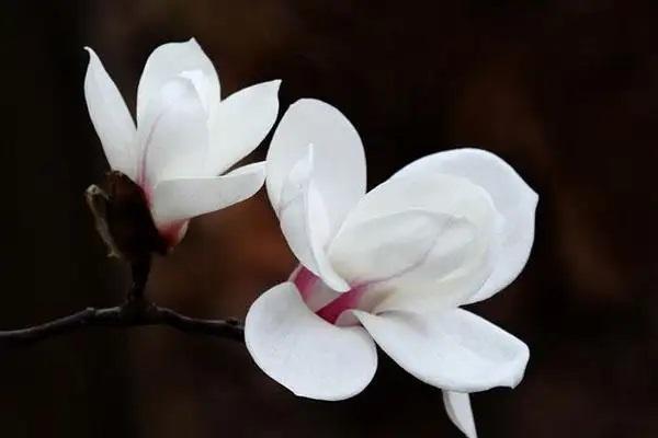 保險過期沒交保費能退保嗎？退?？梢酝硕嗌伲?>
                                            </div>
                                        </a>
                                        <h2 class=