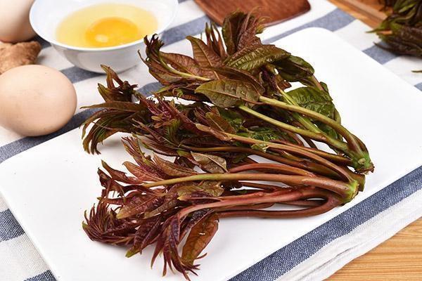 重疾保險退保能退多少？手續(xù)如何辦理？