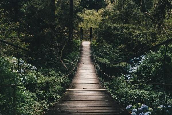 學(xué)平險都保什么？報銷流程是怎樣的？