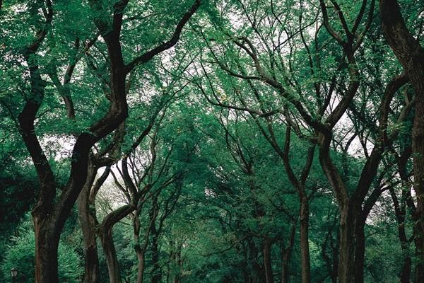 社保繳費(fèi)基數(shù)和工資有什么關(guān)系？最低要交多少年？