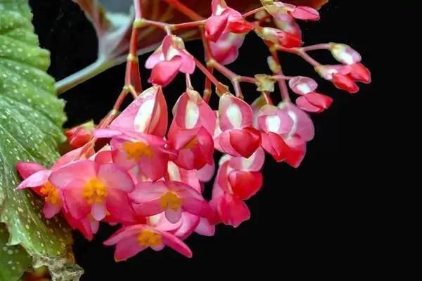醫(yī)?？ㄑa(bǔ)繳費(fèi)后多久可以使用？補(bǔ)繳后卡里有錢嗎？