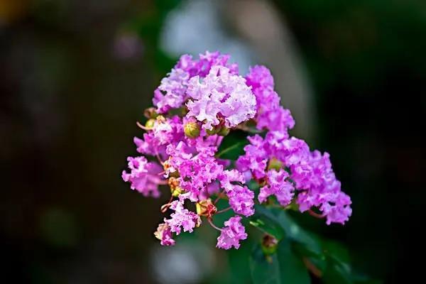 華夏財(cái)富一號年金保險(xiǎn)f款是什么產(chǎn)品？有哪些優(yōu)勢？