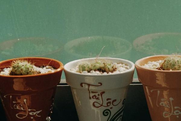 保險復(fù)利3.5%怎么算的？有必要買嗎？