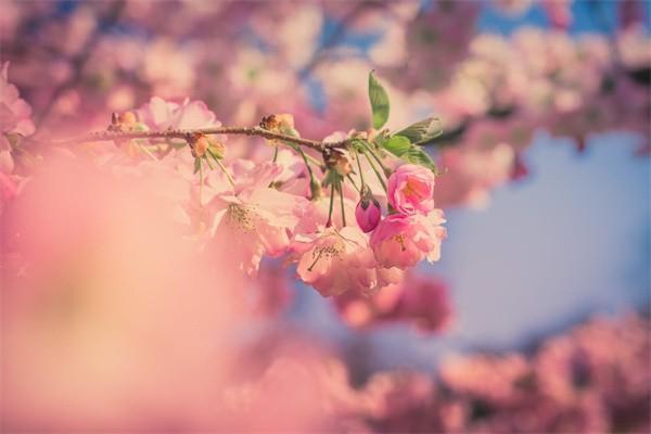 躉交保險和期交保險區(qū)別是什么？哪個比較好？