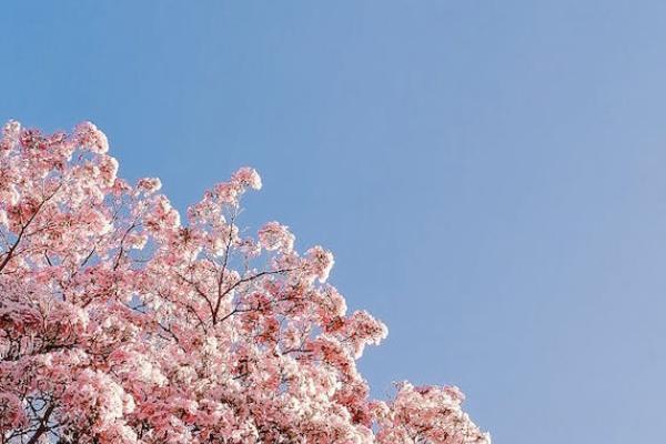 個人補充養(yǎng)老保險怎么買？一年多少錢？