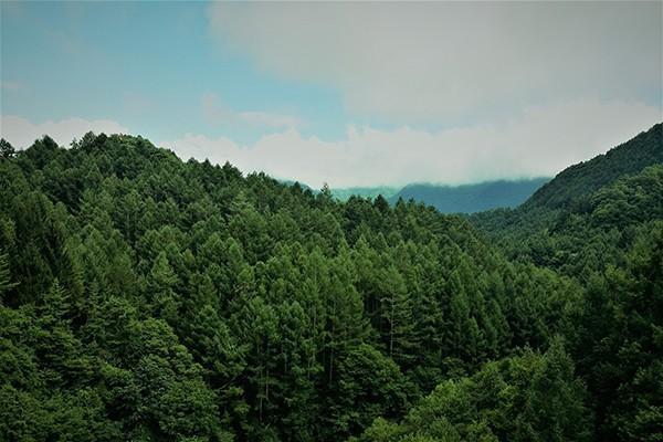 平安平安福終身壽險交20年劃算嗎？保障內(nèi)容是什么？