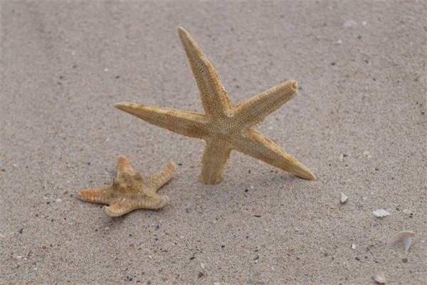 低保查幾個月銀行流水？補(bǔ)助標(biāo)準(zhǔn)是什么？