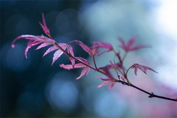 百年人壽鑫愛(ài)人生是什么保險(xiǎn)？有什么優(yōu)點(diǎn)？