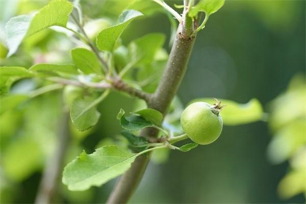 百年人壽百悅?cè)松B(yǎng)老年金保險(xiǎn)怎么樣？可以減保嗎？