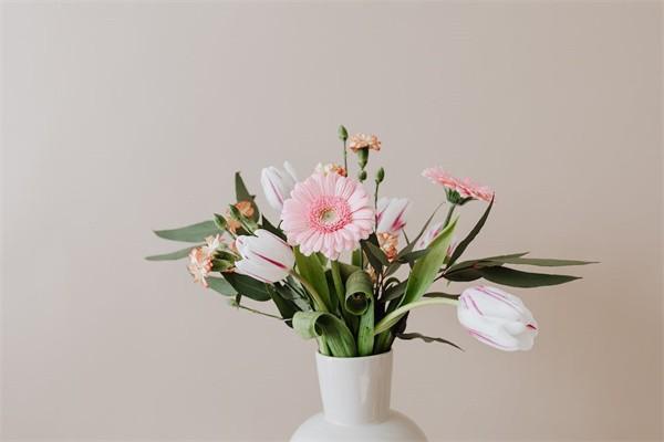 增多多保險(xiǎn)是哪家公司的？有一些什么保障？