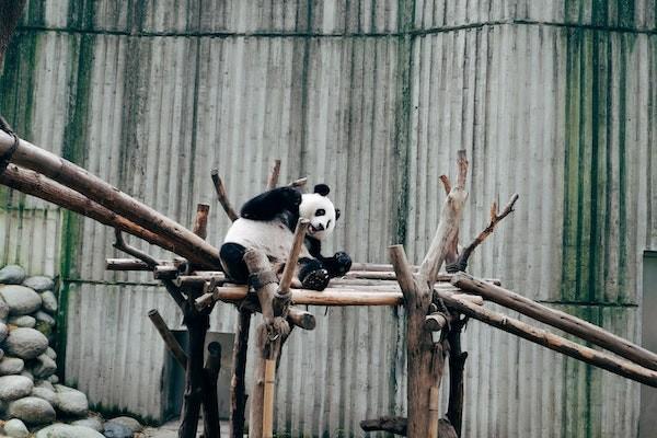 現(xiàn)在最好的年金險什么最好？增額壽和年金險的區(qū)別有哪些？