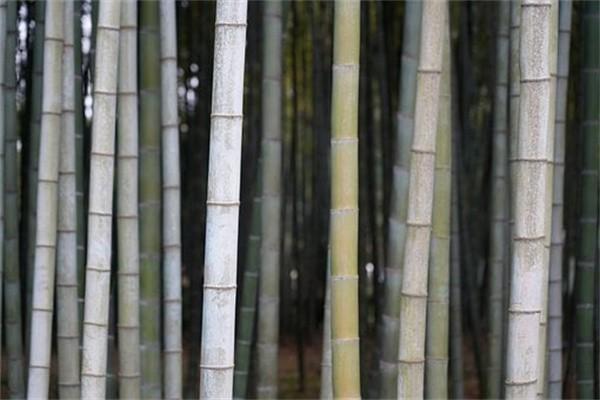 長(zhǎng)期護(hù)理險(xiǎn)要交滿幾年？長(zhǎng)期護(hù)理險(xiǎn)是什么意思？