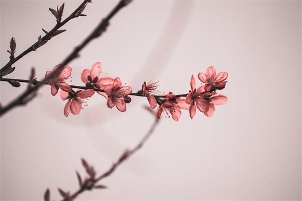 重疾險最后的錢能返還嗎？有必要買嗎？