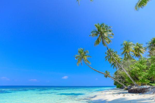 太平洋金瑞人生c款終身壽險分紅型怎么樣？什么時候能拿回本金？