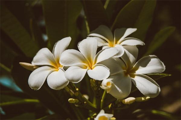 太平洋萬能賬戶結(jié)算利率公告怎么查詢？有多少？