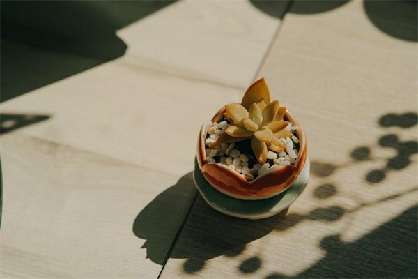 養(yǎng)老保險怎么買最劃算？要交多少年呢？