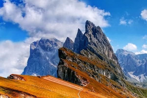 社保轉(zhuǎn)移后多久能合并到一起？流程是什么？