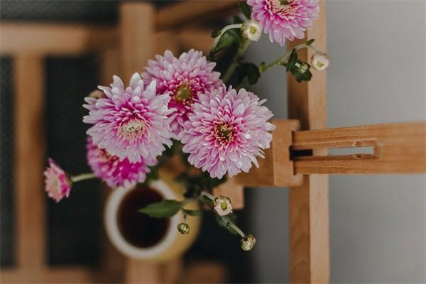 人保壽險鑫享至尊年金保險可靠嗎？可以轉(zhuǎn)換養(yǎng)老金嗎？