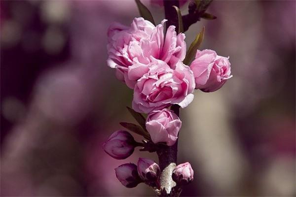 陽(yáng)光財(cái)產(chǎn)保險(xiǎn)股份有限公司怎么樣？有哪些產(chǎn)品？