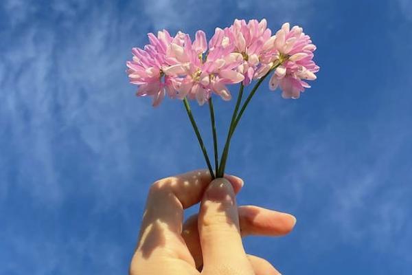 大家人壽19終身壽險可靠嗎？有哪些優(yōu)勢？
