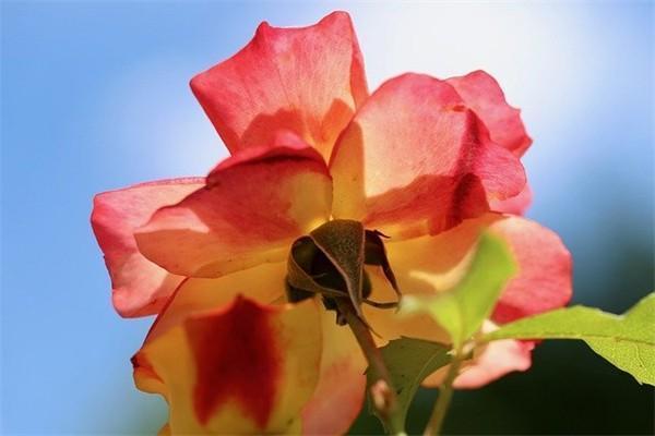 中郵保險(xiǎn)一年存2萬(wàn)一共存3年是真的嗎？到第四年能取出來嗎？