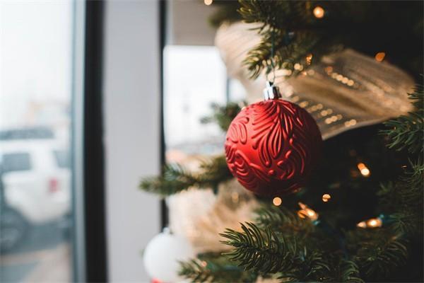 一生保一年要交多少錢(qián)？一年管一年的嗎？