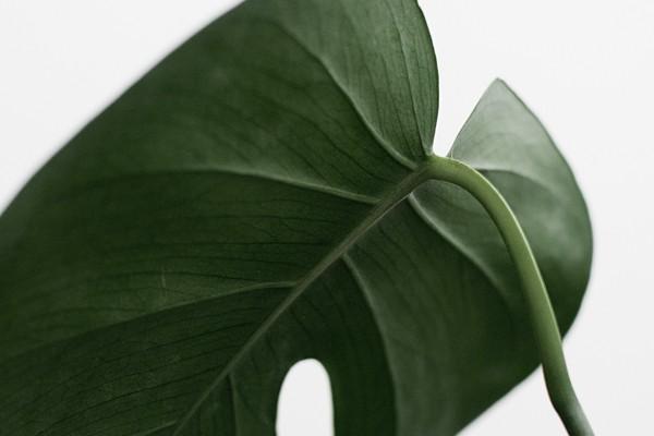 被銀行忽悠買了理財(cái)怎么投訴？投訴了有用嗎？