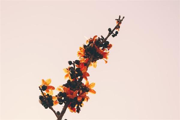 眾安保險(xiǎn)熱線電話是多少？是不是正規(guī)公司？