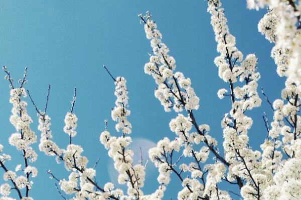 眾安百萬醫(yī)療險基礎(chǔ)版一年交多少錢？有必要買嗎？