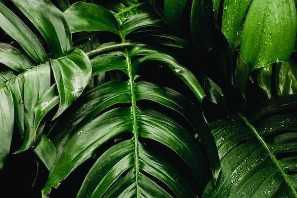 借唄逾期一年多可以申請(qǐng)減免利息嗎？逾期可以申請(qǐng)延期還款嗎