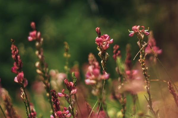 房屋保險(xiǎn)怎么買？一年多少錢？