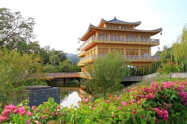 中國(guó)人壽康寧終身保險(xiǎn)交滿20年怎么返回？該注意什么？
