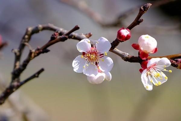 失業(yè)金最晚幾號(hào)發(fā)放到卡里？作用有哪些？