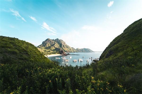 泰山保險公司怎么樣？償付能力好嗎？