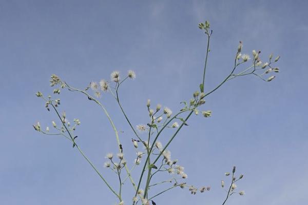 保險(xiǎn)沒退保也沒交費(fèi)會(huì)怎么樣？退保能退多少錢？