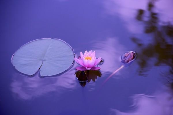 失地保險多少歲開始領(lǐng)？賠償金標(biāo)準(zhǔn)是什么？