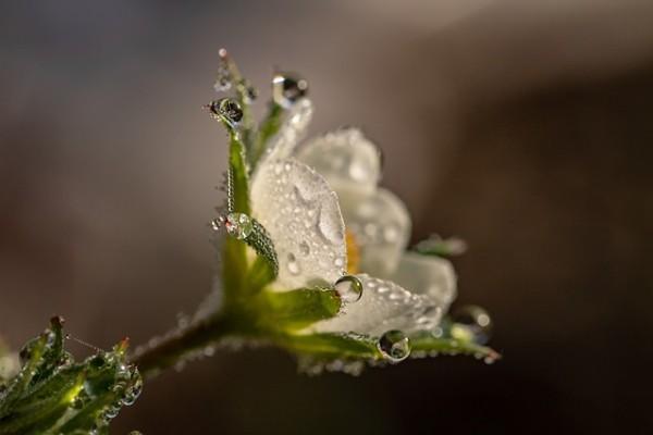 天津惠民保險(xiǎn)怎么理賠？可以通過哪些渠道理賠？