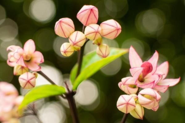 45歲交社會(huì)養(yǎng)老保險(xiǎn)劃算嗎？得交多少錢？