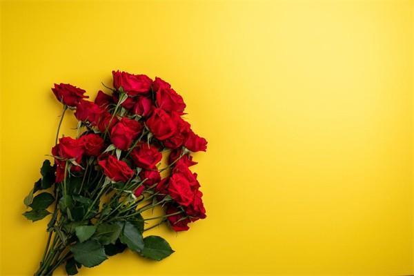 保險(xiǎn)公司黃了我買的保險(xiǎn)怎么辦？還可以理賠嗎？