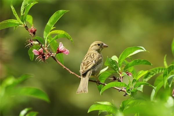企業(yè)交的養(yǎng)老保險進(jìn)入個人賬戶嗎？和個人交的一樣嗎？