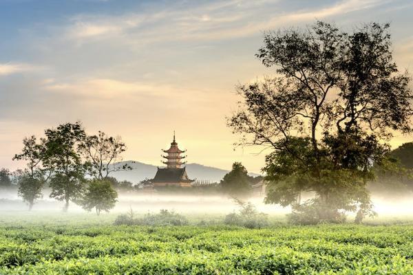 如意人生養(yǎng)老年金保險(xiǎn)投保規(guī)則如何？有哪些保障？